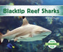 Blacktip Reef Sharks by Grace Hansen