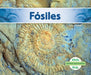 Fosiles (Fossils) by Grace Hansen