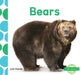 Bears by Julie Murray