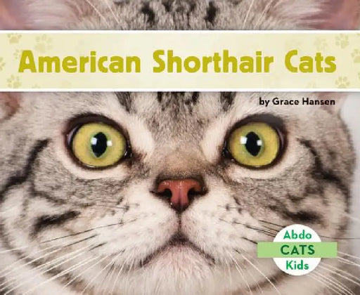 American Shorthair Cats by Grace Hansen