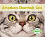 American Shorthair Cats by Grace Hansen
