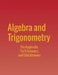 Algebra and Trigonometry: The Appendix, Try It Answers and Odd Answers by Jay Abramson