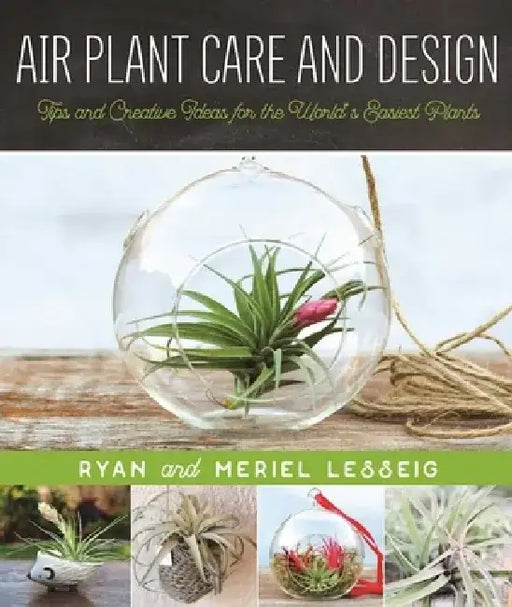 Air Plant Care and Design: Tips and Creative Ideas for the World's Easiest Plants by Ryan Lesseig