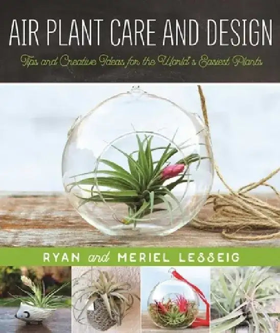 Air Plant Care and Design: Tips and Creative Ideas for the World's Easiest Plants by Ryan Lesseig