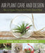 Air Plant Care and Design: Tips and Creative Ideas for the World's Easiest Plants by Ryan Lesseig