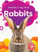 Rabbits by Amy McDonald