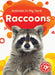 Raccoons by Amy McDonald