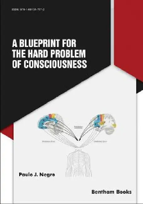 A Blueprint for the Hard Problem of Consciousness by Paulo Jacomo Negro