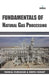 Fundamentals of Natural Gas Processing by Elly Griffiths