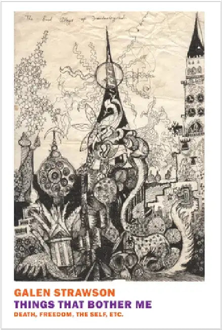 Things That Bother Me: Death, Freedom, the Self, Etc. by Galen Strawson