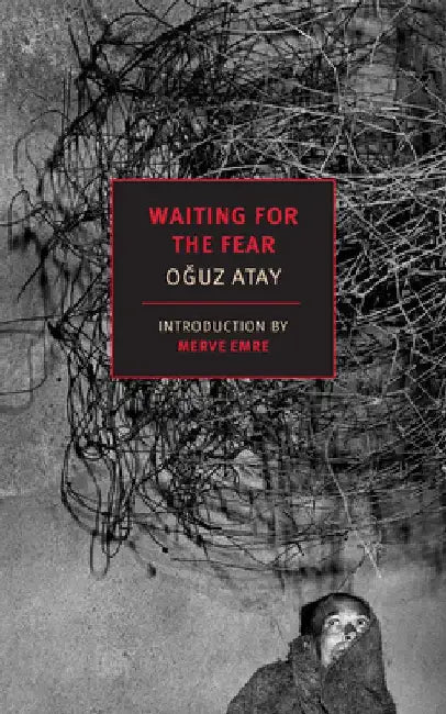 Waiting for the Fear by Oguz Atay