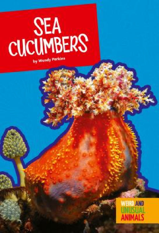 Sea Cucumbers by Wendy Perkins