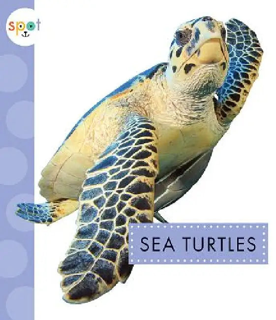 Sea Turtles by Mari C. Schuh