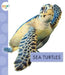 Sea Turtles by Mari C. Schuh