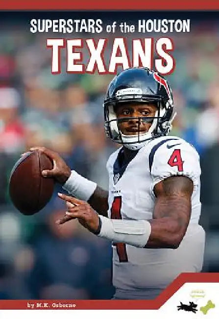 Superstars of the Houston Texans by Allan Morey