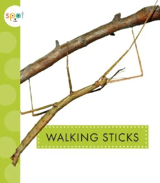 Walking Sticks by Nessa Black