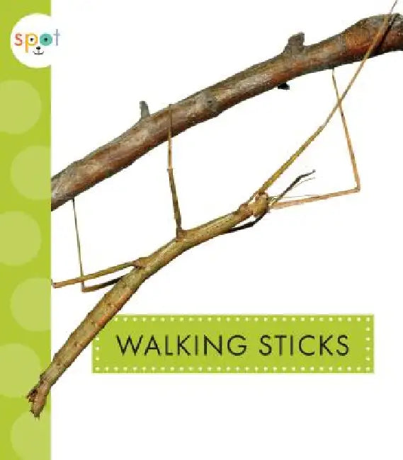 Walking Sticks by Nessa Black