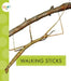 Walking Sticks by Nessa Black