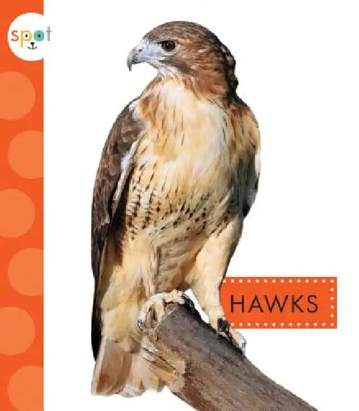 Hawks by Mari C. Schuh