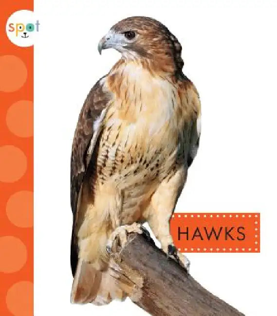 Hawks by Mari C. Schuh