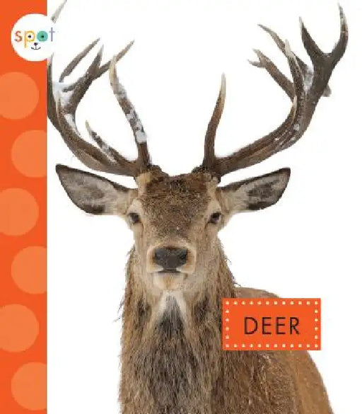 Deer by Mari C. Schuh