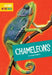 Chameleons by Imogen Kingsley