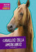 Caballos Silla Americanos by Cari Meister