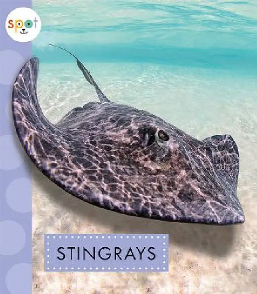 Stingrays by Mari C. Schuh
