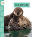 Sea Otters by Anastasia Suen