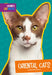 Oriental Cats by Mary Ellen Klukow