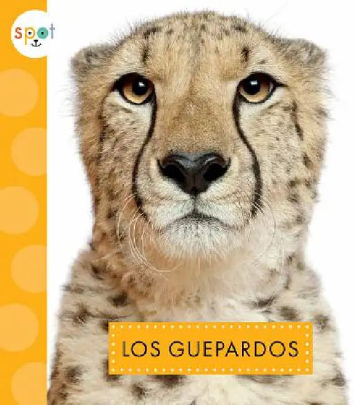 Los Guepardos by Mary Ellen Klukow