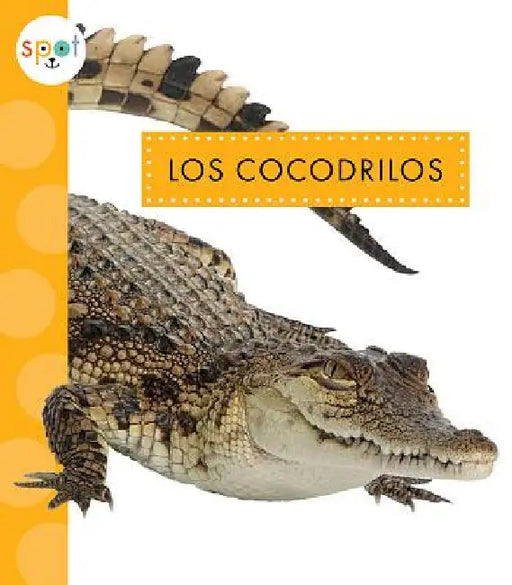Los Cocodrilos by Mary Ellen Klukow