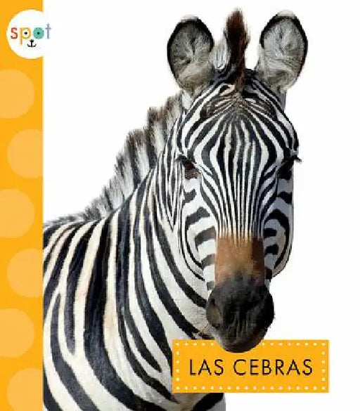 Las Cebras by Mary Ellen Klukow
