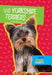 Los Yorkshire Terriers by Mary Ellen Klukow