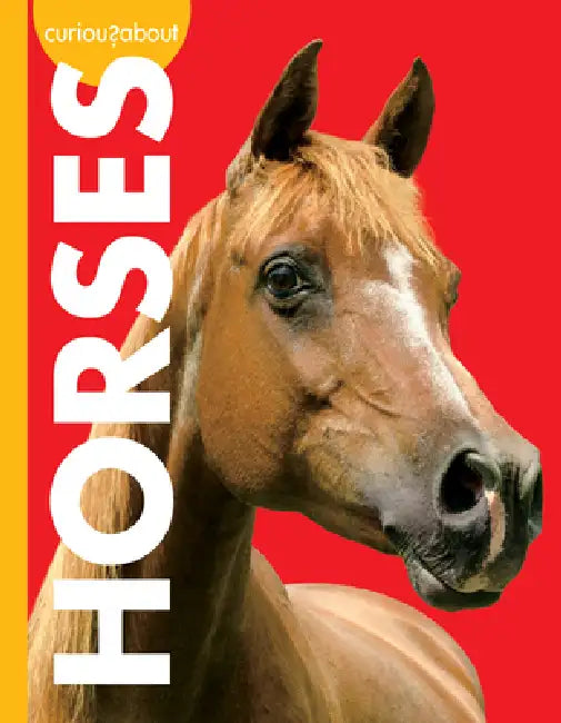 Curious about Horses by Jill Sherman