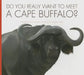 Do You Really Want to Meet a Cape Buffalo? by Cari Meister