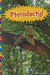 Pterodactyl by Barbara Alpert