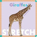 Giraffes Stretch by Rebecca Glaser