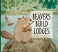 Beavers Build Lodges by Elizabeth Raum