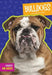 Bulldogs by Martha E. H. Rustad