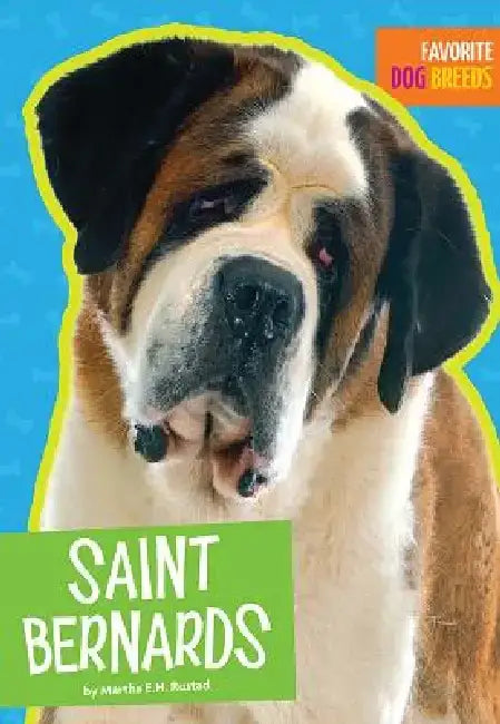 Saint Bernards by Martha E. H. Rustad