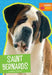 Saint Bernards by Martha E. H. Rustad