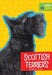 Scottish Terriers by Martha E. H. Rustad