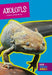 Axolotls by Karen Kenney