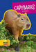 Capybaras by Allan Morey