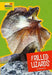 Frilled Lizards by Allan Morey