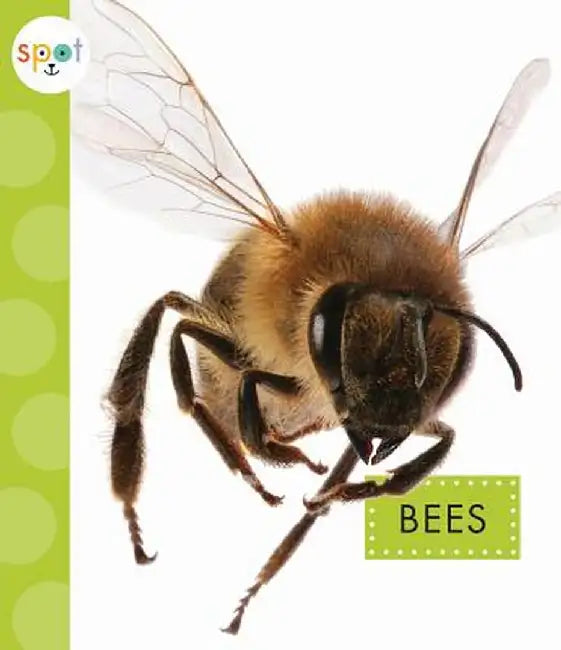 Bees by Nessa Black