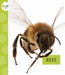 Bees by Nessa Black