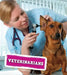 Veterinarians by Emma Less
