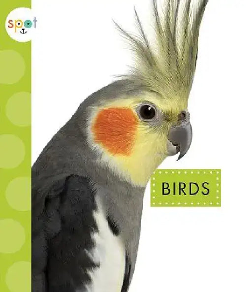 Birds by Mari C. Schuh